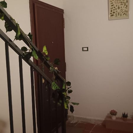 Casa Selinunte Apartment Palermo Bagian luar foto